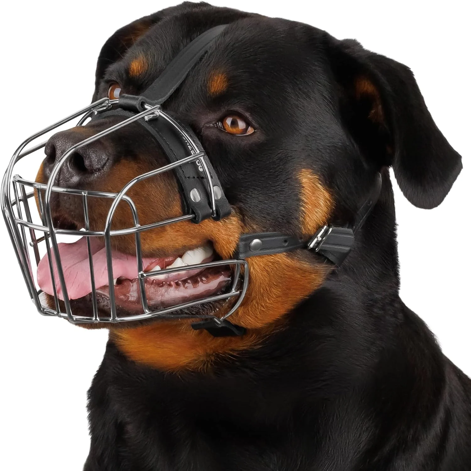 Focinheira BRONZEDOG de cesta de arame de aço com tiras de couro em um rottweiler