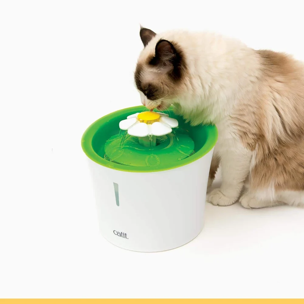 Foto oficial da fonte Catit Flower Fountain verde de 3 litros, com flor branca no topo, e um gato bebendo água
