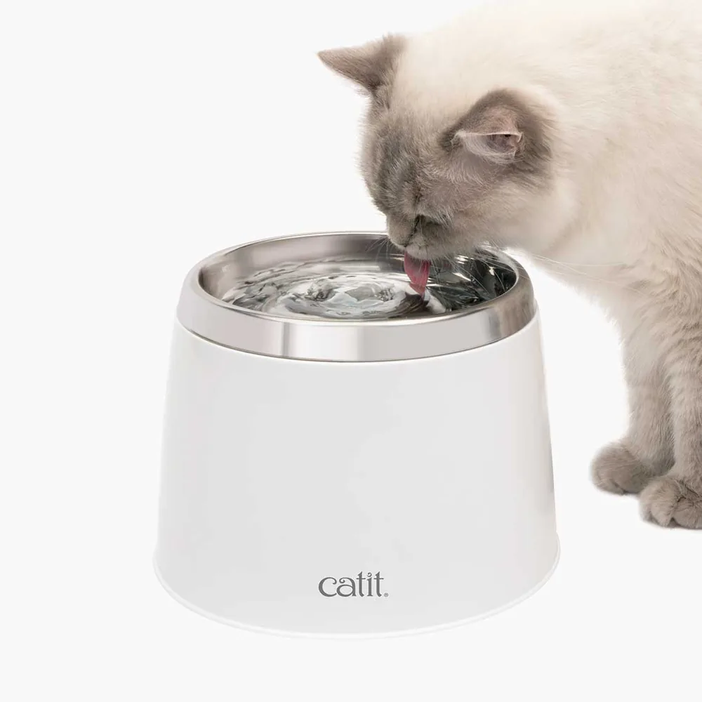 Foto oficial da fonte Catit Fresh & Clear de aço inoxidável #50023, base branca com topo inox e gato bebendo água