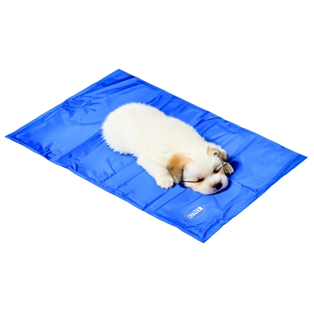 Tapete gelado Chalesco tamanho M de 50 x 60 cm para cães