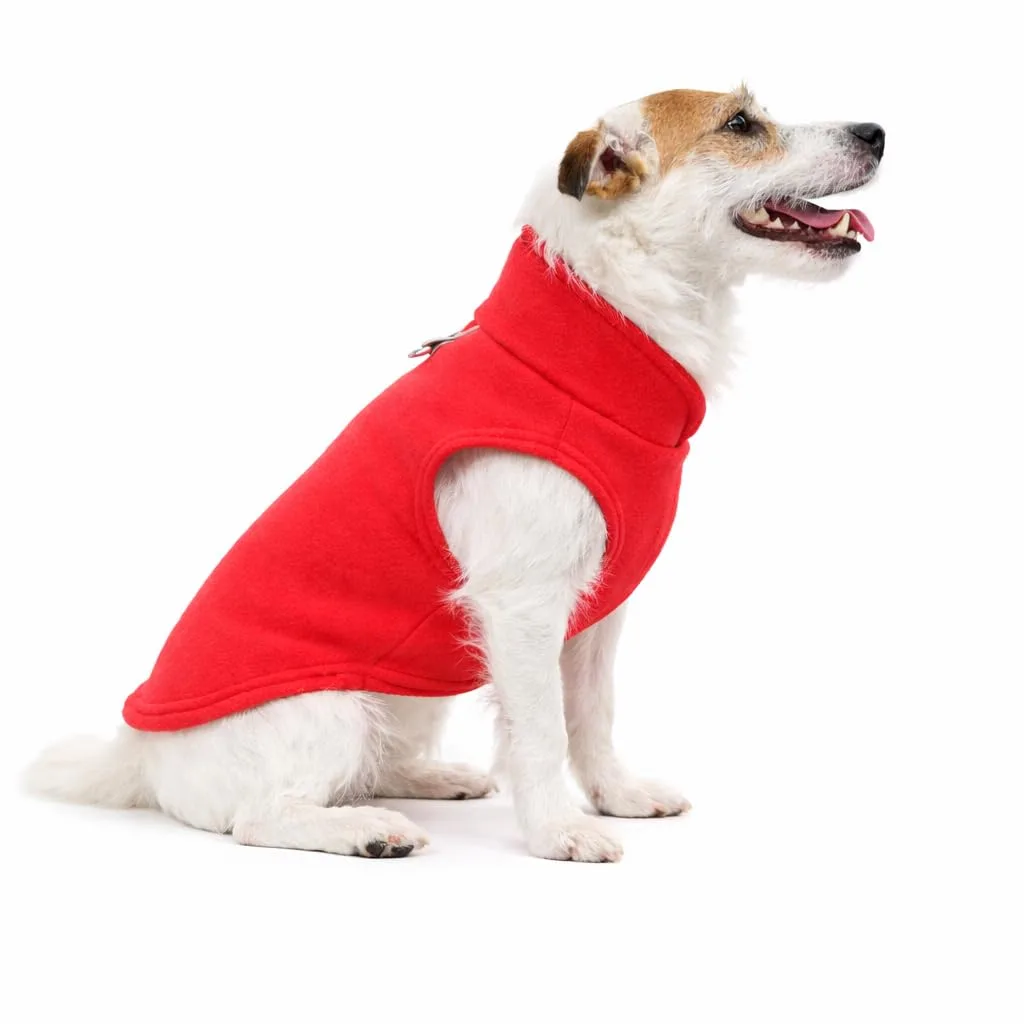 Colete soft Eternizare vermelho tamanho 10 com argola para coleira