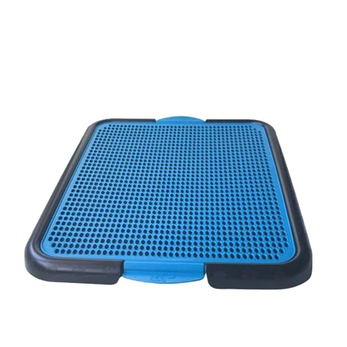 Sanitário para cachorro MY PET BRASIL com grade azul perfurada sobre base preta