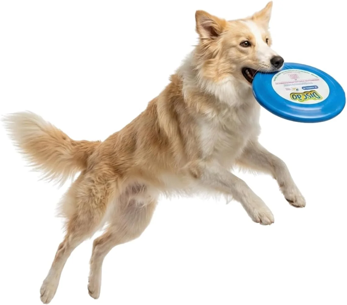 Cão saltando com o frisbee Pet Games Discão azul perolizado na boca