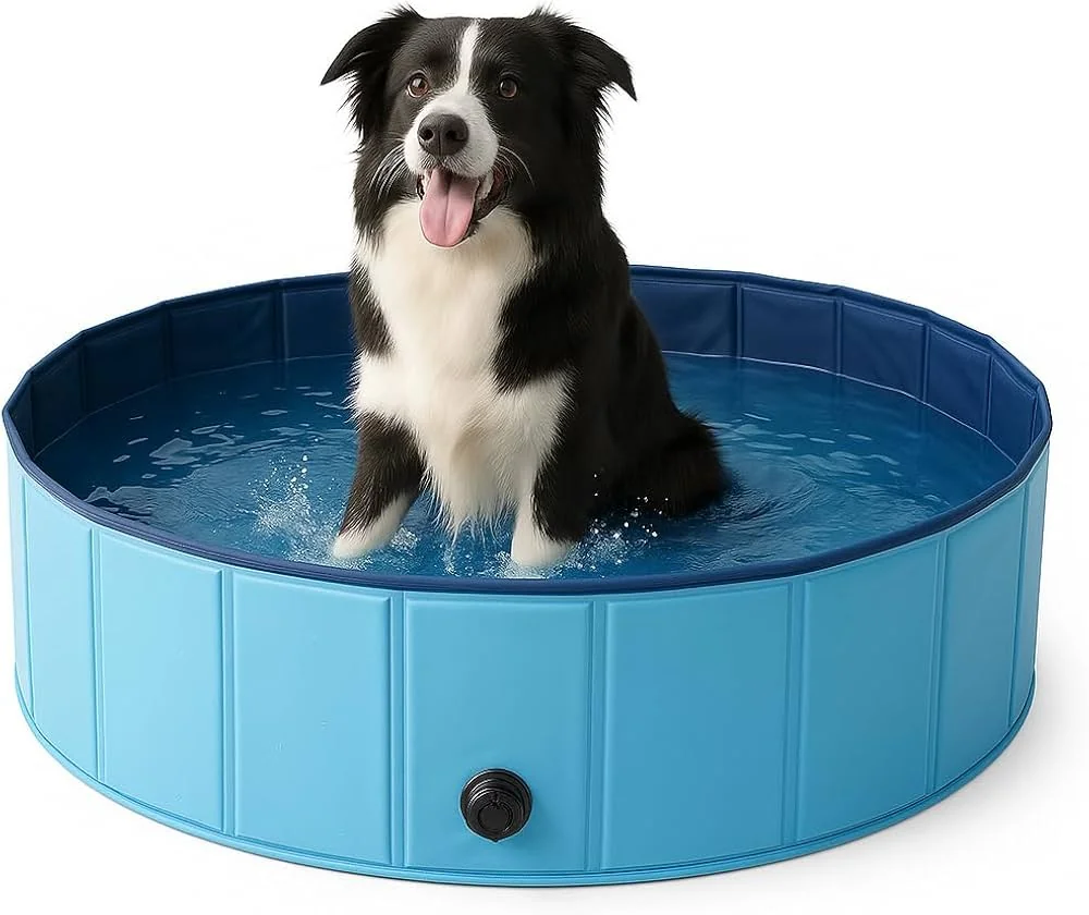Piscina dobrável azul Petting Is Caring 100x30 cm para cachorro