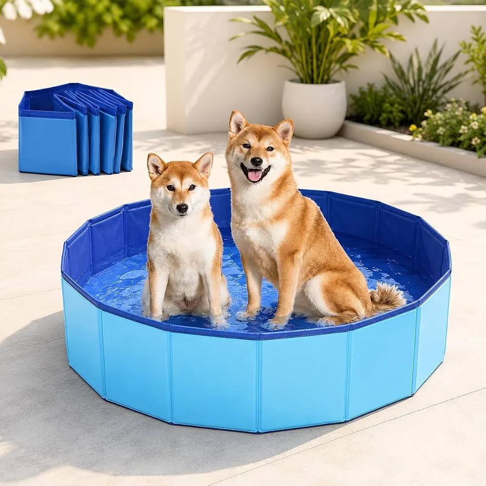 Piscina dobrável azul QQLX de 60 x 20 cm com dois cães pequenos dentro
